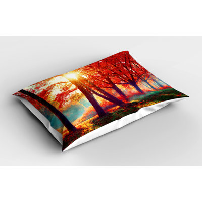 Sun Polyester Toile Sham Set