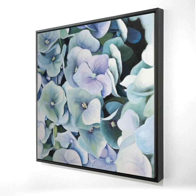 " Hydrangea Plant "