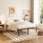 Metal Bed Frame, Sturdy & Noise-Free, with Under-Bed Storage, Non-Slip, No Box Spring Required-2545215-25232051