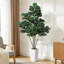 Plant-986871588