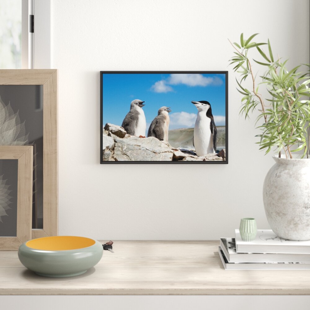 Gerahmtes Wandbild Pinguin mit süßen Küken