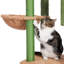 Arbre à chat Adenike