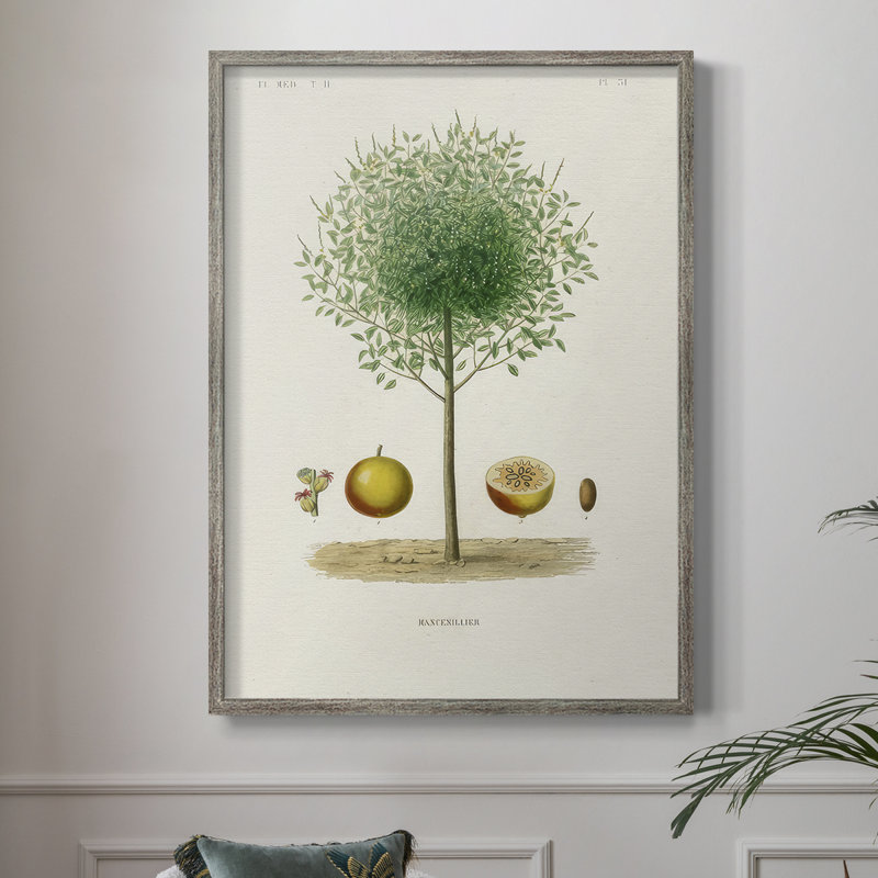 «Antique Tree with Fruit VII», reproduction encadrée - bois massif, H 15 po x l 12 po