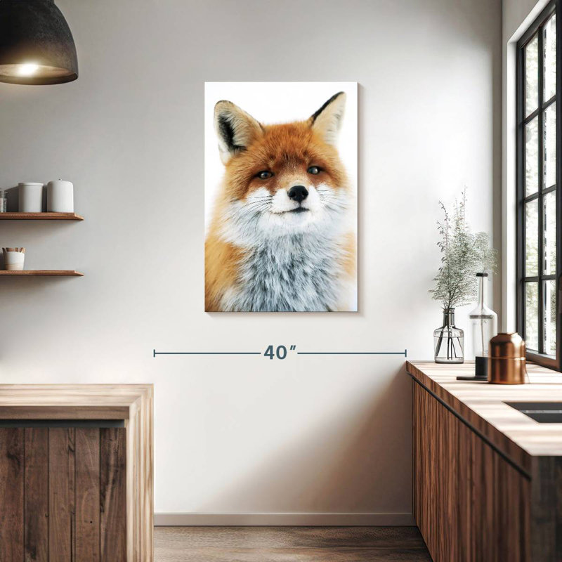 Regard de renard Brampt, H 36 po x l 24 po