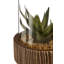 Sprague Succulent in Stone Jar-32124294-32124298