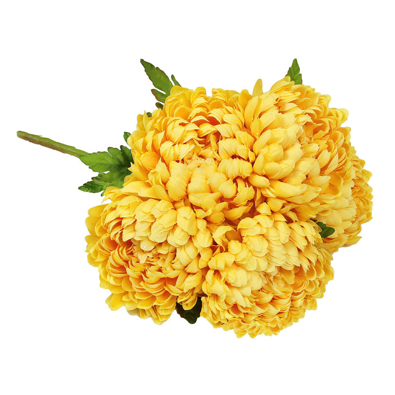 Chrysanthème buisson, Jaune