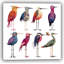 Art mural d'oiseaux fantaisistes