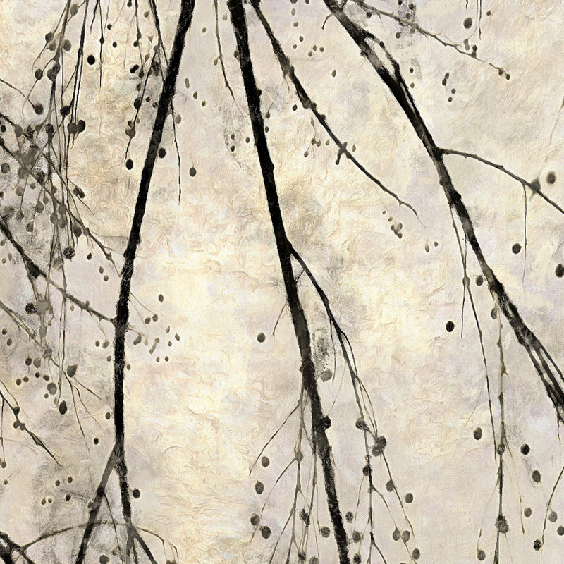 Winter Branches II par Alonzo Saunders, H 12 po x l 12 po