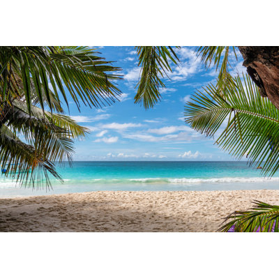 Plage de sable tropicale