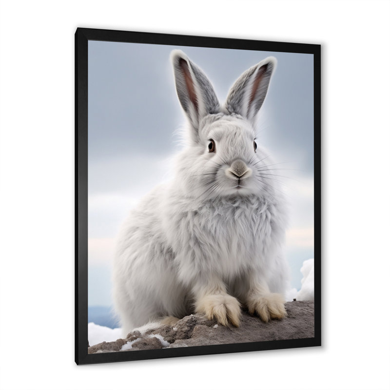 Décoration murale Nimble Hopper Rabbit I - Animaux, Cadre photo noir, H 20 po x l 12 po x P 1 po