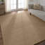 Area Rug in Brown-2132934759