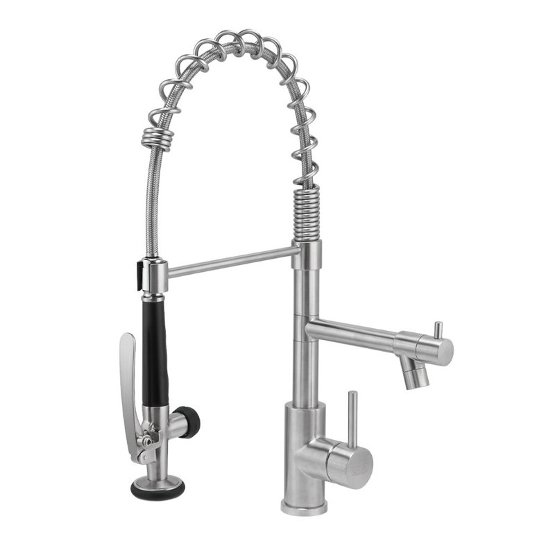 Belfry Kitchen Burhill Pull Out Kitchen Faucet, Silver