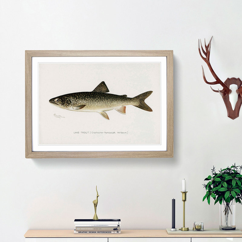 Lake Trout by Sherman F. Denton - Picture Frame Painting Print, 27cm H x 36cm W x 2cm D, Oak Framed