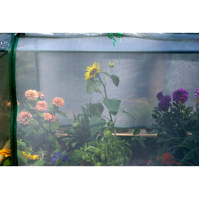 Enceinte de serre rectangulaire Glendive