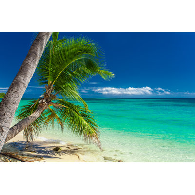 Palmiers suspendus au-dessus d'une plage tropicale à Fidji par Mvaligursky - Photographie sur toile tendue