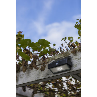 Cynthia Solar Powered Integrated LED Outdoor Armed Sconce with Dusk to Dawn