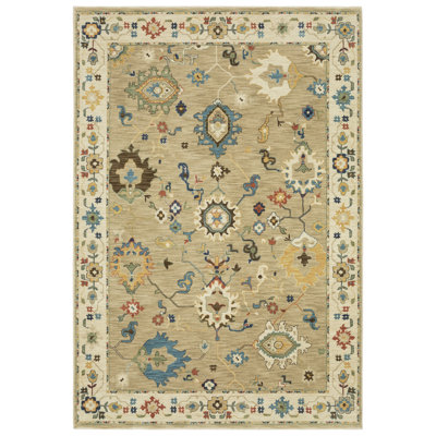 Oriental Indoor Rug
