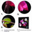 Fleurs de rose fuchsia - art mural fuchsia-2078082897-2078082896