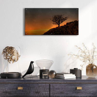Ebern Designs 'Lone Tree in Sunset' by Tom Quartermaine, Acrylic Glass Wall Art,