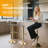 Clear Bar Stools Set of 2, Acrylic Bar Stools Swivel, Transparent Bar Stool, Gold Bar Stool Adjustable Height, Modern Bar Chairs for Kitchen, Dining Room, Gold-917181630-915010958