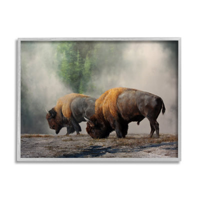 " Bison Duo Grazing Foggy Nature " by Mark Kelso Painting Print
