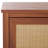 Alyosha 2 Door TV Stand-858466338