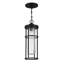 Lanterne suspendue d'extérieur Encompass 1-H 19,88 "-403052724