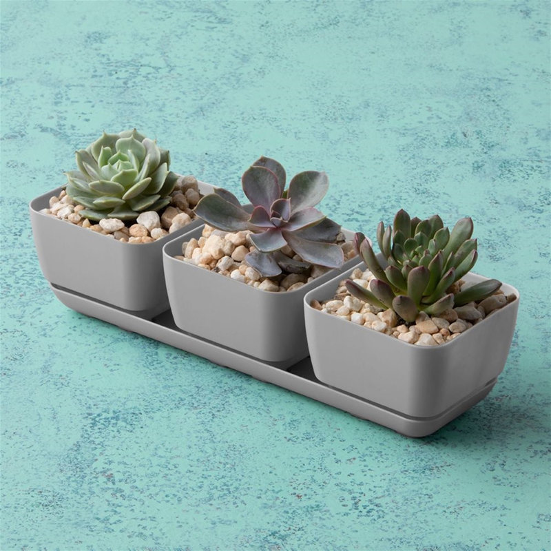 Kuplerski Pot Planter