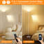180cm Brushed Torchiere Floor Lamp
