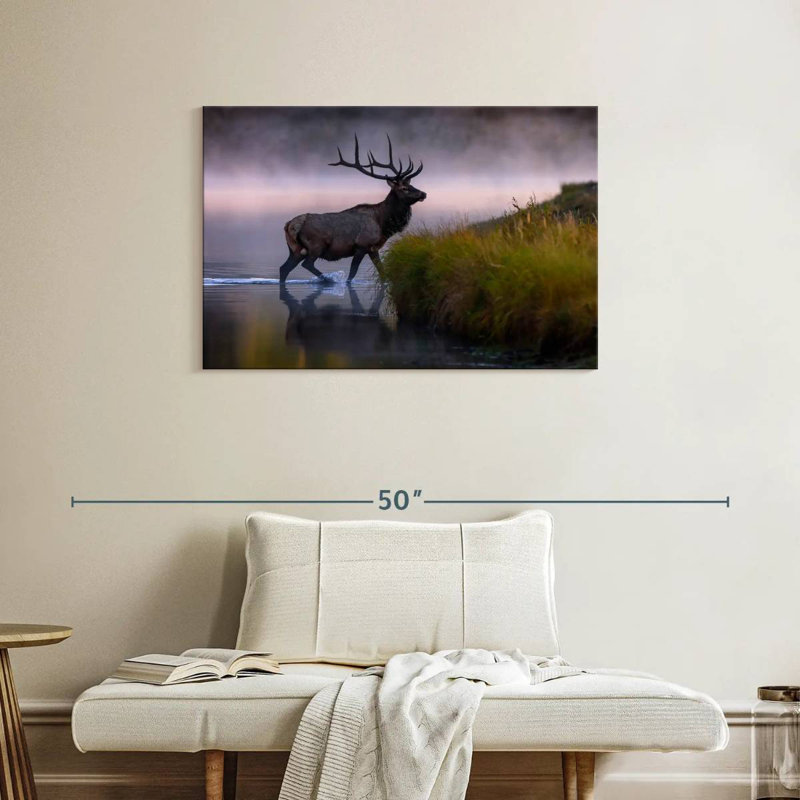 Wapiti dans l'eau, H 24 po x l 36 po