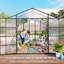 Serre en polycarbonate, serre pour la cour extérieure