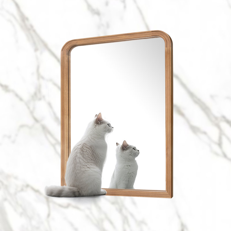 Bathroom/Vanity Wall Mirror with Wood Frame, 24" x 18", Natural Wood