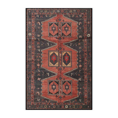 Southwestern Indoor Rug