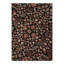 Kathrize Oriental Area Rug in Green