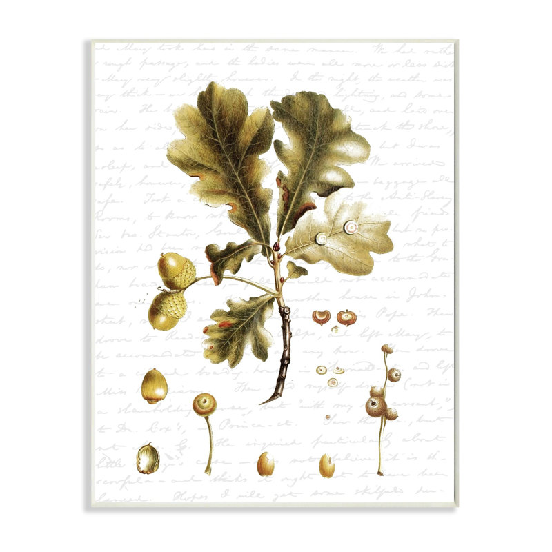 « tree leaves seed style saisons automne », impression, Plaque de bois, H 10 po x l 15 po