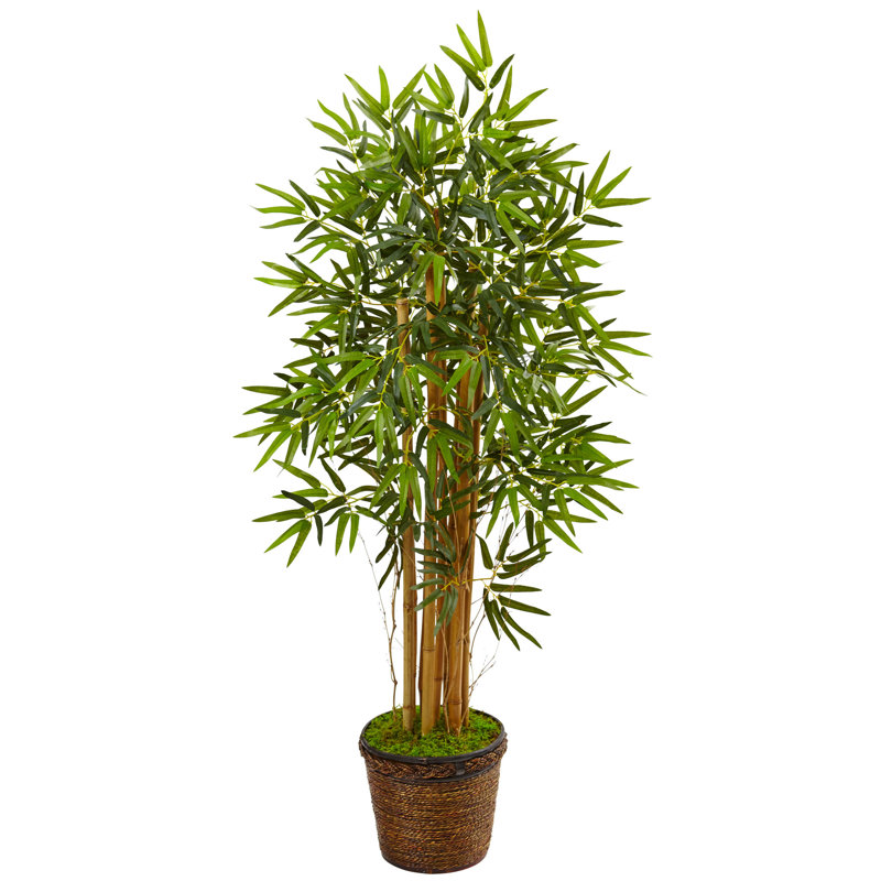 54'' Faux Bamboo Tree in Wicker Planter