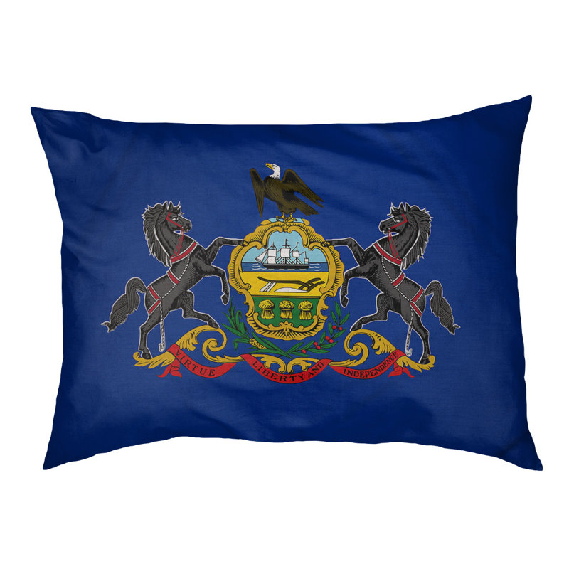 Coussin de créateur drapeau Burien, L 19,5 po x l 29,5 po, Marron foncé