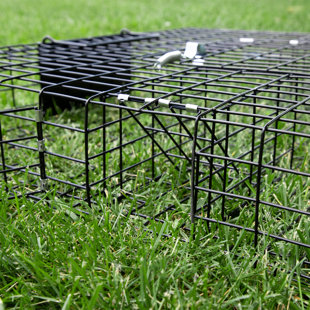 Weather Resistant Squirrel Cage