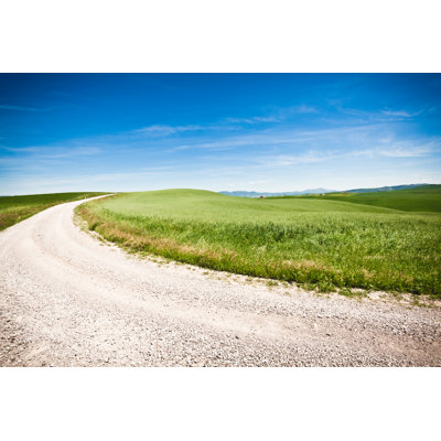 Country Road in Tuscany by Zodebala