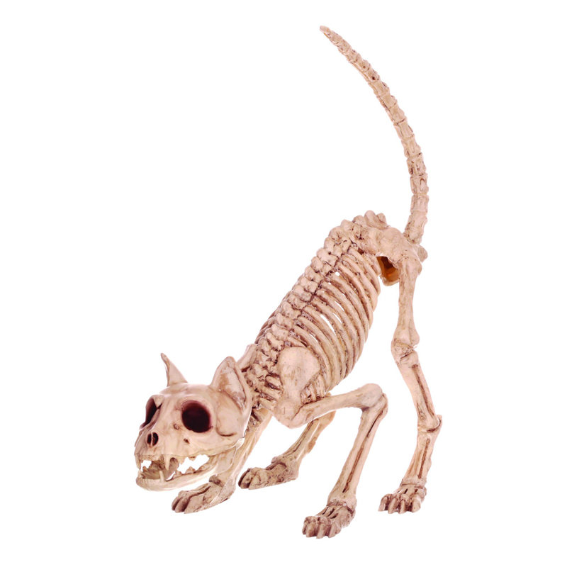Figurine Kamber Crazy Bonez