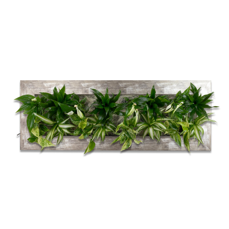 Handmade Plants & Flowers Wall Decor, Grey