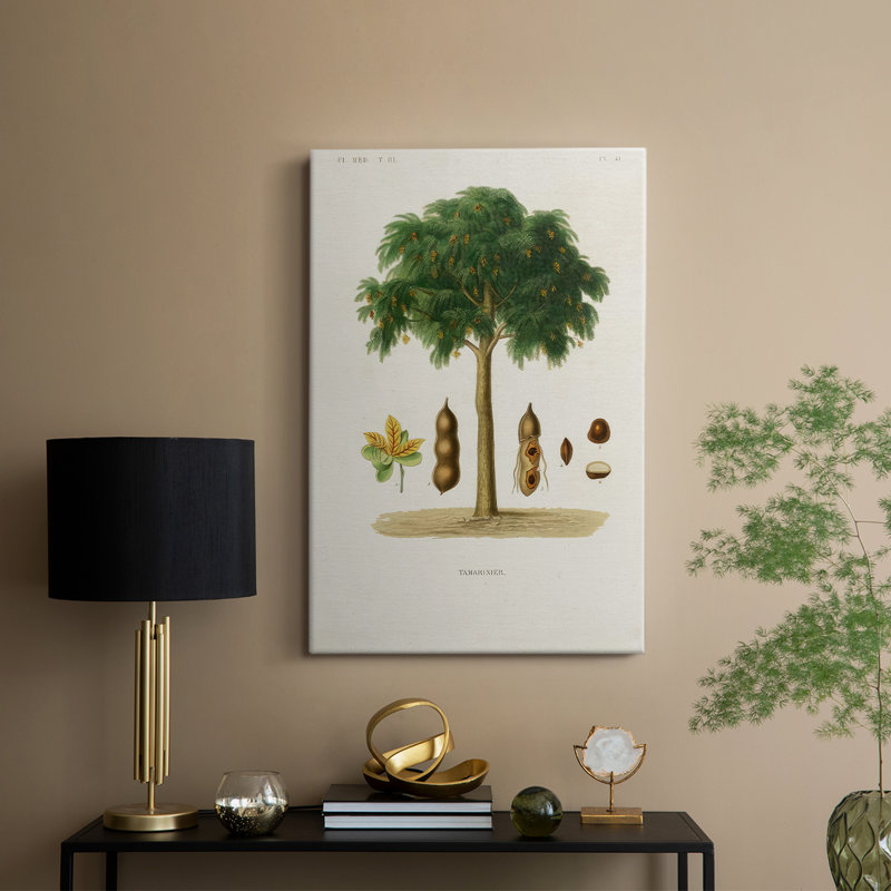 Arbre antique avec fruitier - Cavas enveloppés de galerie, H 60 po x l 40 po