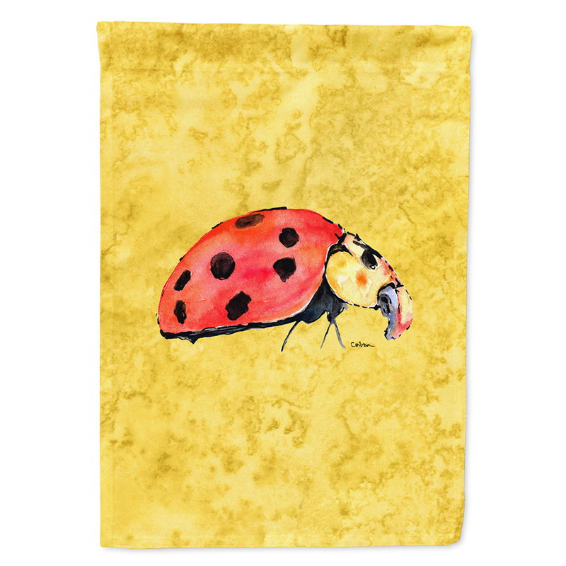 Polyester 2 faces 40 x 28 po Daray Drapeau pour la maison