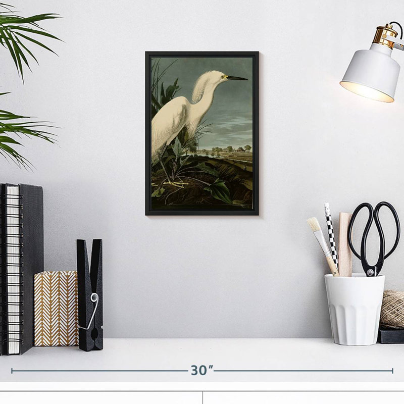 Héron enneigé ou aigrette blanche, 9 po x 13 po, Cadre flottant noir