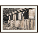Barn Horse' Framed Photographic Print on Glass