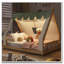 Lit maison avec tente et lumière-712342772-712342775