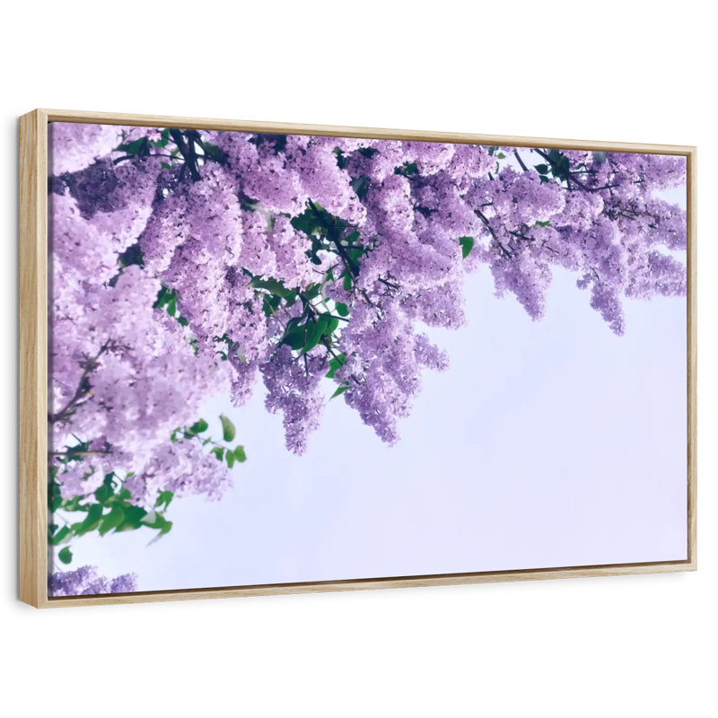 Délicats lilas mauves, 19 po x 13 po, Cadre flottant en bois naturel