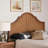 Reno Ash Walnut Rattan With Scalloped Arched Queen Headboard, 59.71" H X 60.97" W X 1.31" D