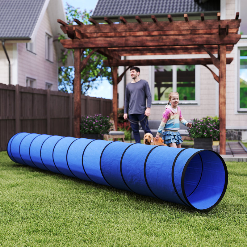 Dog Agility, 60cm H x 60cm W x 60cm D