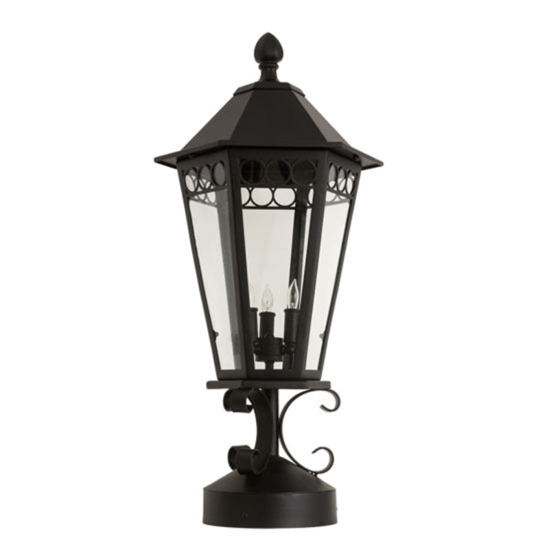 Yorkshire Lantern Head